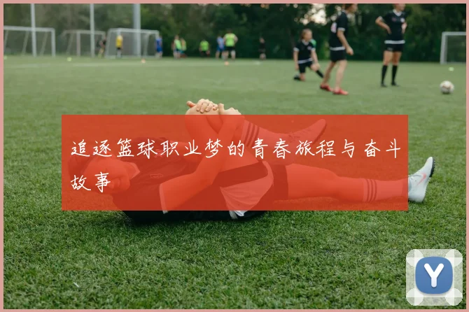 追逐篮球职业梦的青春旅程与奋斗故事