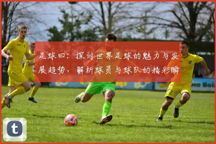 足球曰：探讨世界足球的魅力与发展趋势，解析球员与球队的精彩瞬间与背后故事