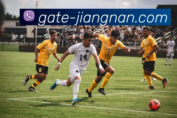 数据防护可视化